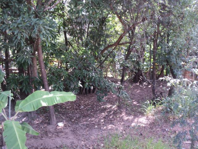 Lote, Novo Retiro, 0 Quarto, 0 Vaga