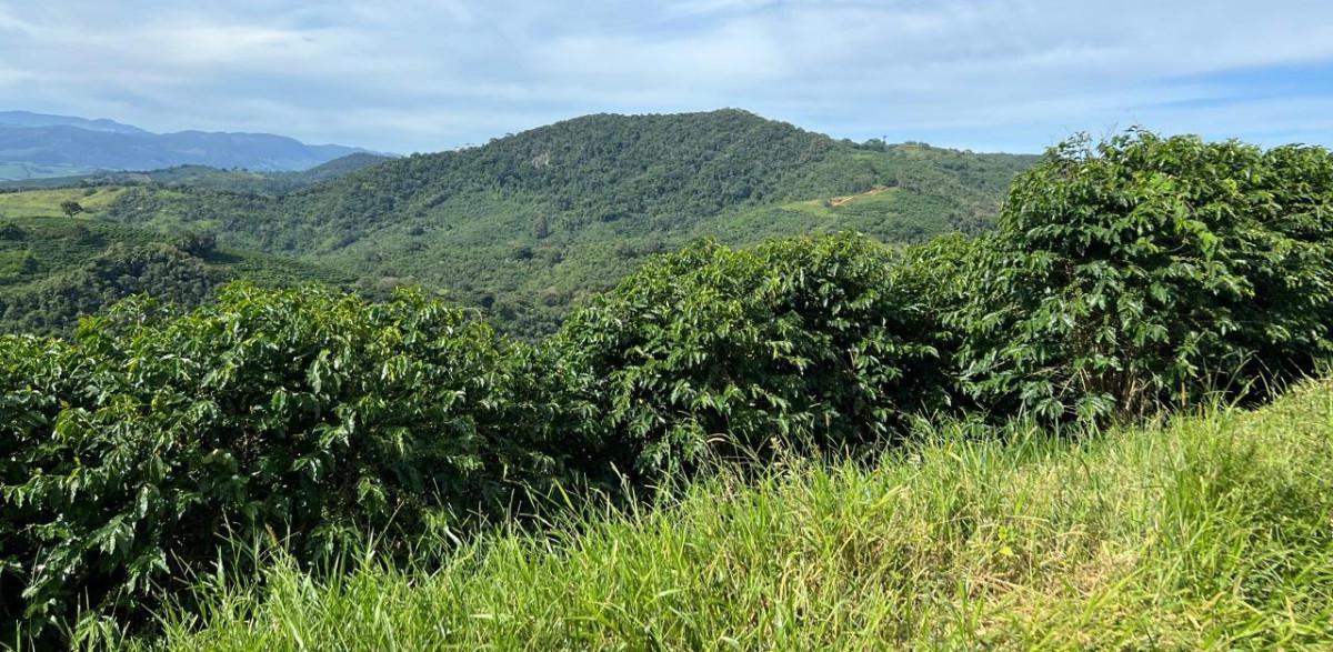 Fazenda, Zona Rural, 0 Quarto, 0 Vaga