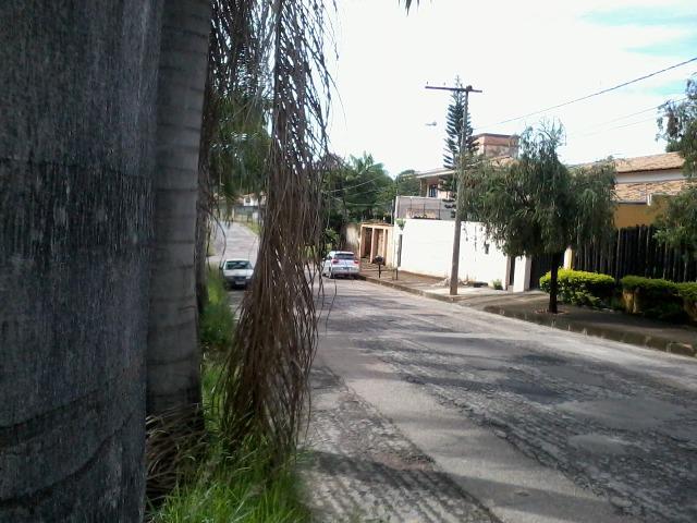 Lote, Enseada das Garças