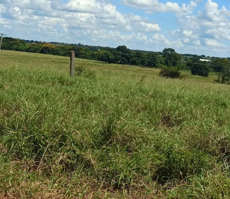 Fazenda, Zona Rural, 0 Quarto, 0 Vaga