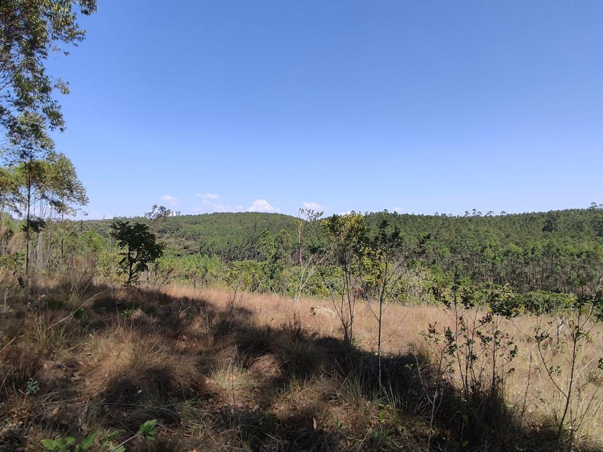 Lote, Penedo, 0 Quarto, 0 Vaga
