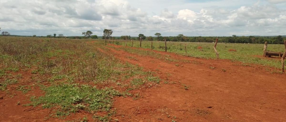 Fazenda, Zona Rural, 0 Quarto, 0 Vaga