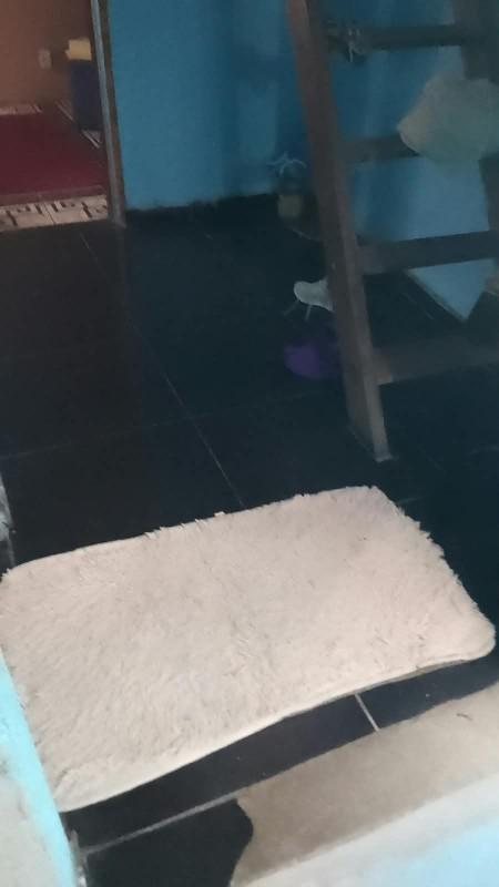 Casa, Lagoa, 3 Quartos, 1 Vaga