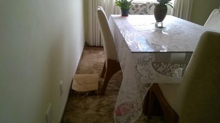 Apartamento, Cândida Ferreira, 4 Quartos, 1 Vaga, 1 Suíte