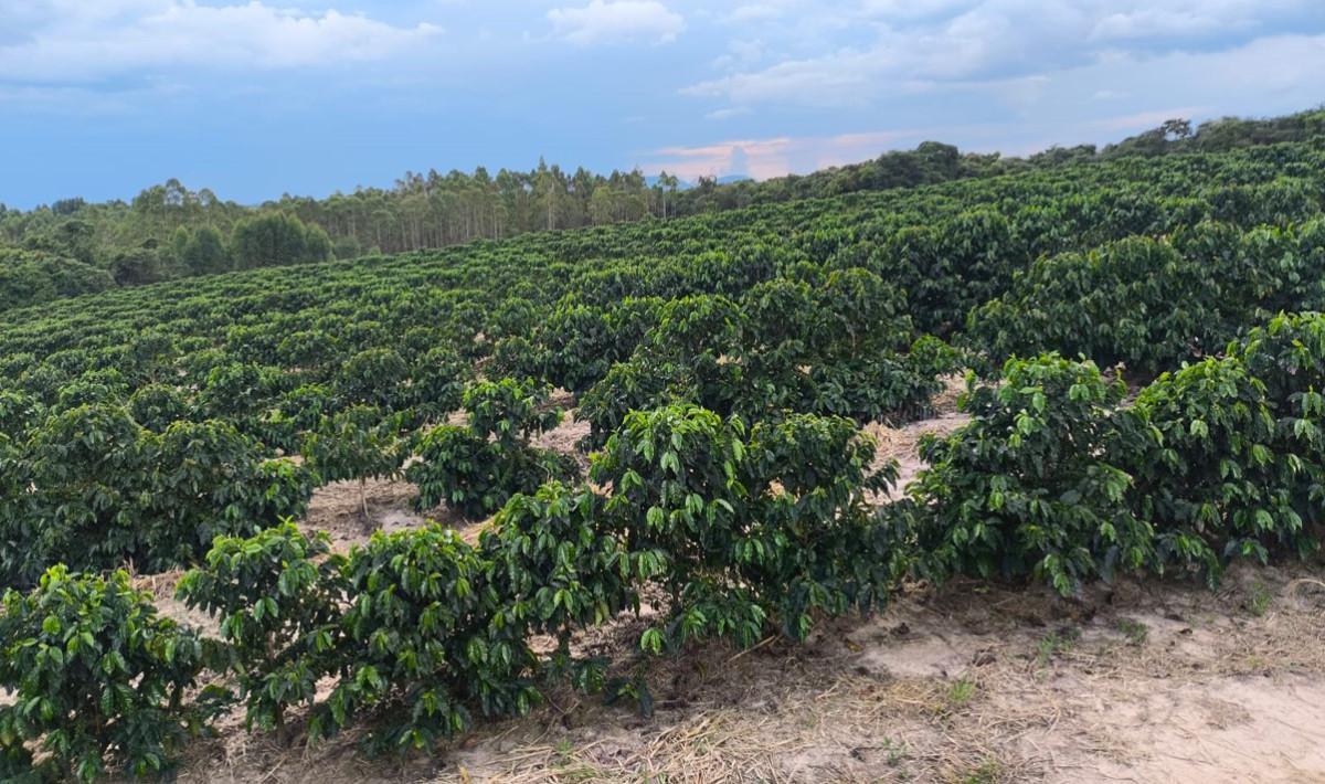 Fazenda, Zona Rural, 0 Quarto, 0 Vaga