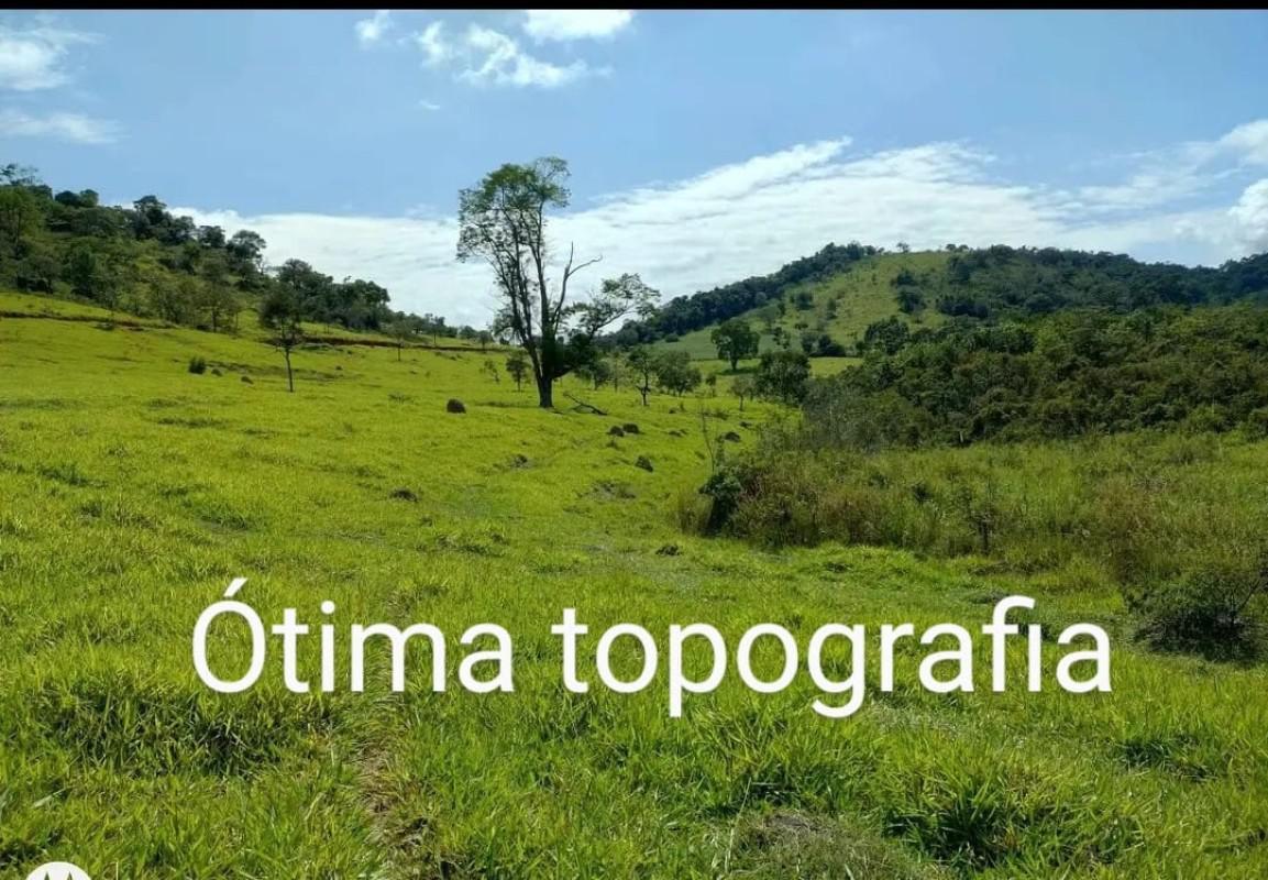 Lote, Centro, 0 Quarto, 0 Vaga