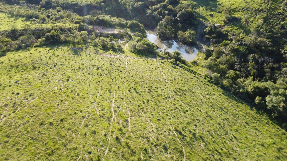 Fazenda, Zona Rural, 0 Quarto, 0 Vaga