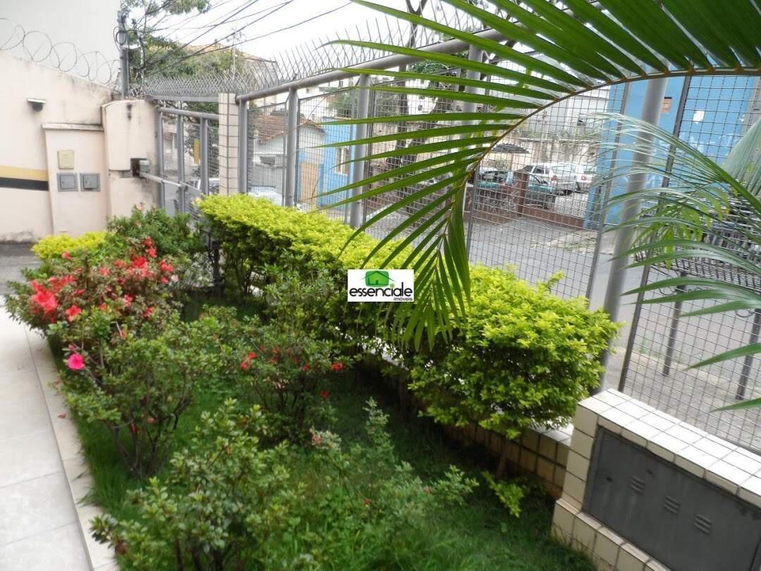 Apartamento, Nova Suíssa, 3 Quartos, 2 Vagas, 1 Suíte