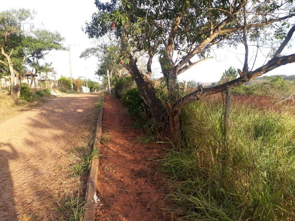 Lote, Vale dos Pinhais, 0 Quarto, 0 Vaga