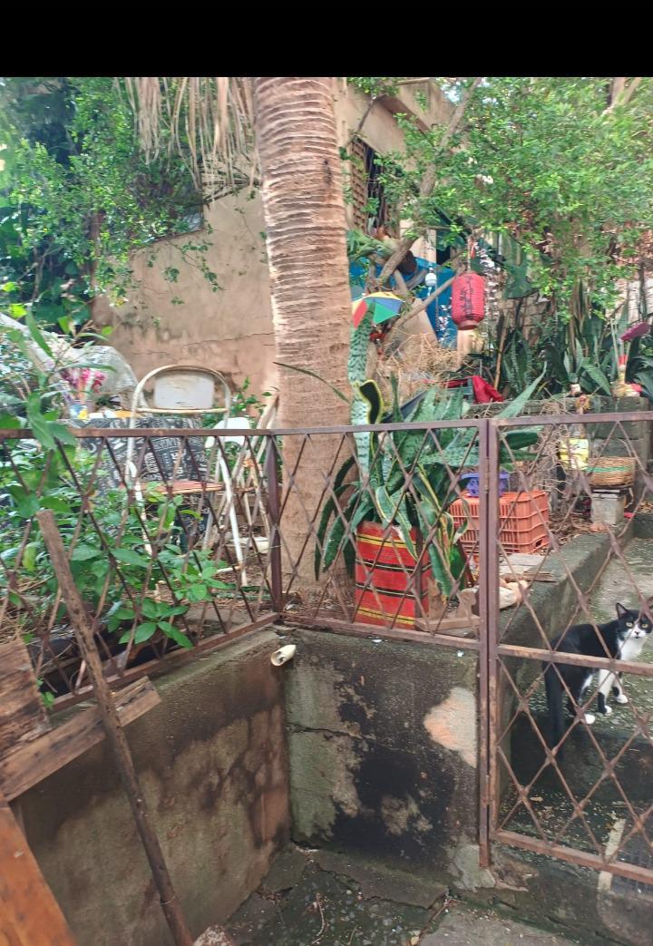Lote, Eldorado, 0 Quarto, 0 Vaga