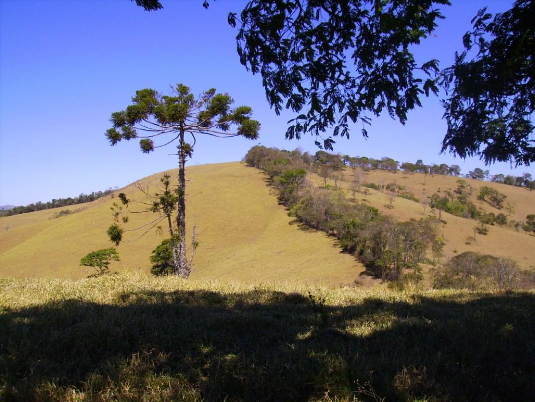 Fazenda, Zona Rural, 0 Quarto, 0 Vaga
