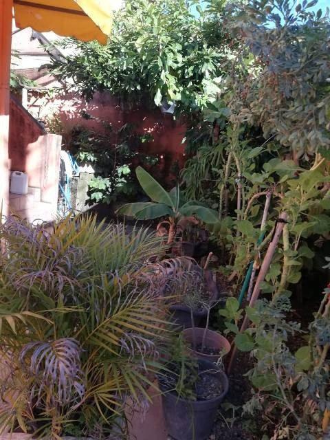 Casa, Santa Paula, 4 Quartos, 10 Vagas, 1 Suíte