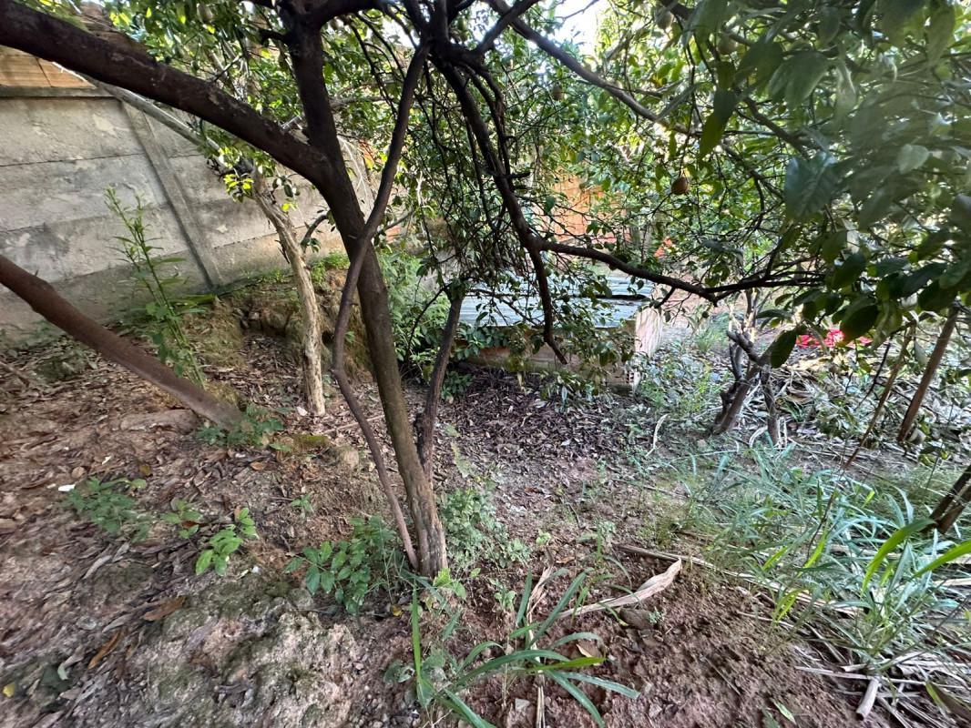 Lote, Dom Bosco, 0 Quarto, 0 Vaga