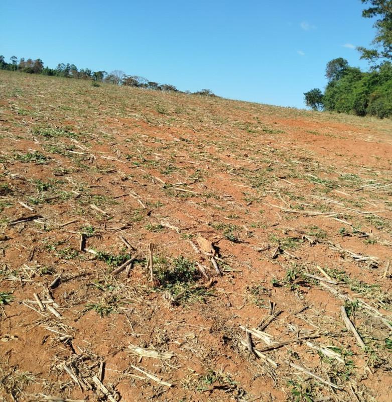Fazenda, Zona Rural, 0 Quarto, 0 Vaga