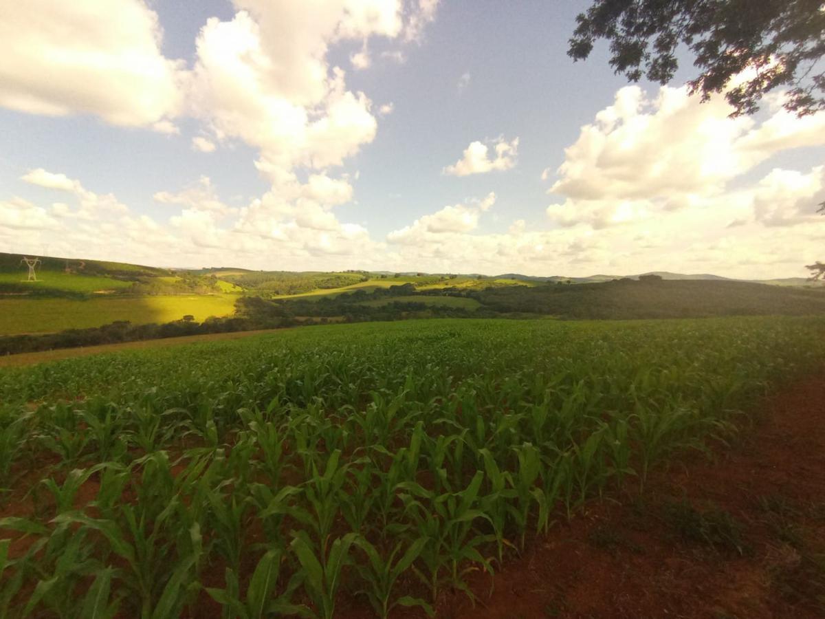 Fazenda, Zona Rural, 0 Quarto, 0 Vaga