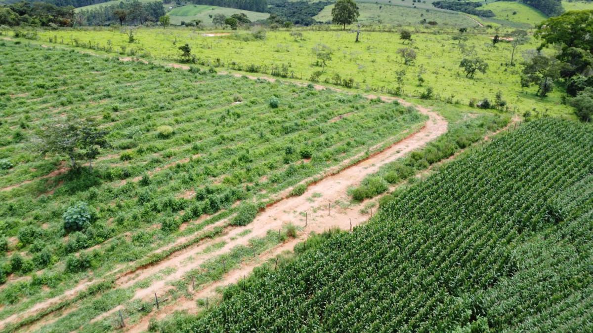 Fazenda, Zona Rural, 0 Quarto, 0 Vaga