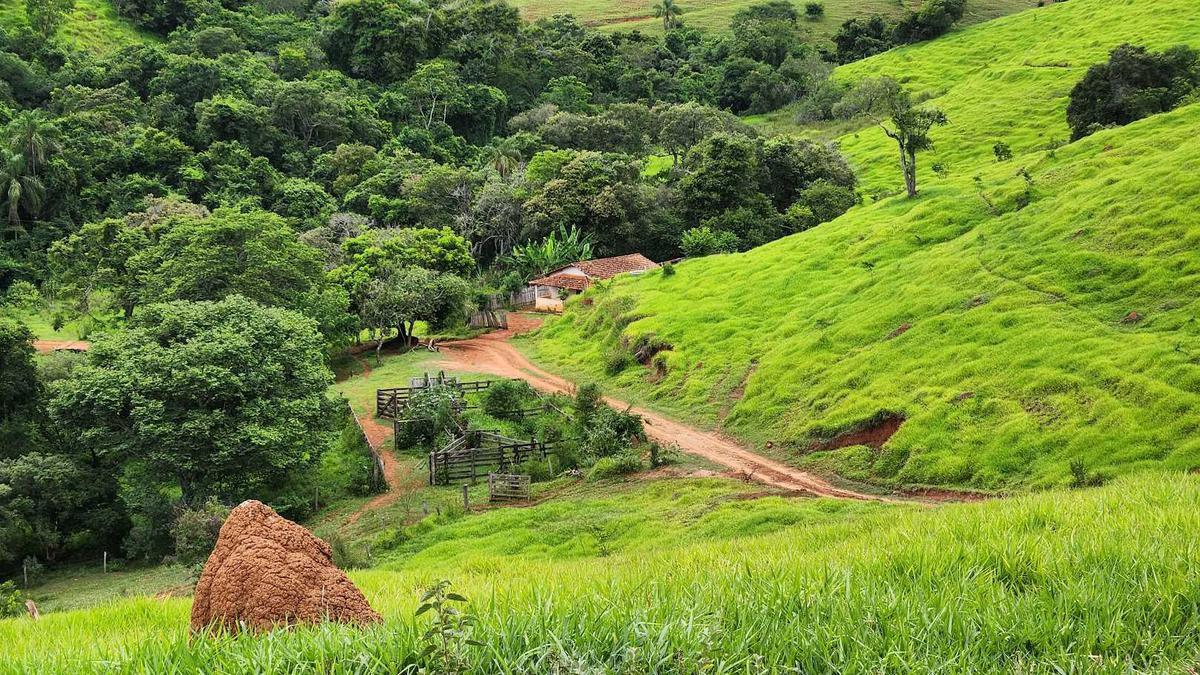 Fazenda, Zona Rural, 0 Quarto, 0 Vaga