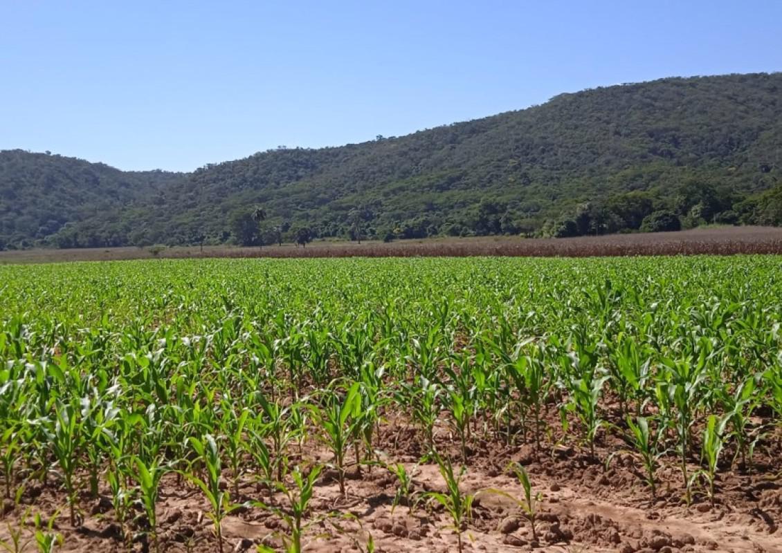 Fazenda, Zona Rural, 0 Quarto, 0 Vaga