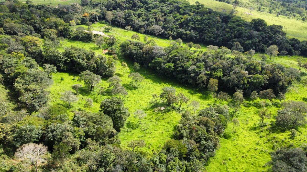 Fazenda, Centro, 0 Quarto, 0 Vaga