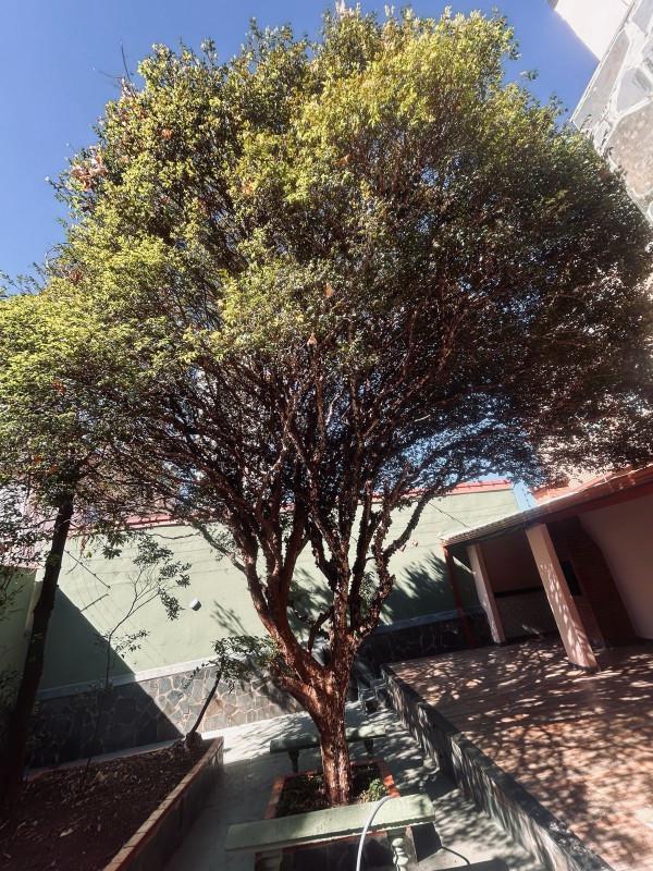 Casa Comercial, Colégio Batista, 4 Quartos, 3 Vagas, 2 Suítes