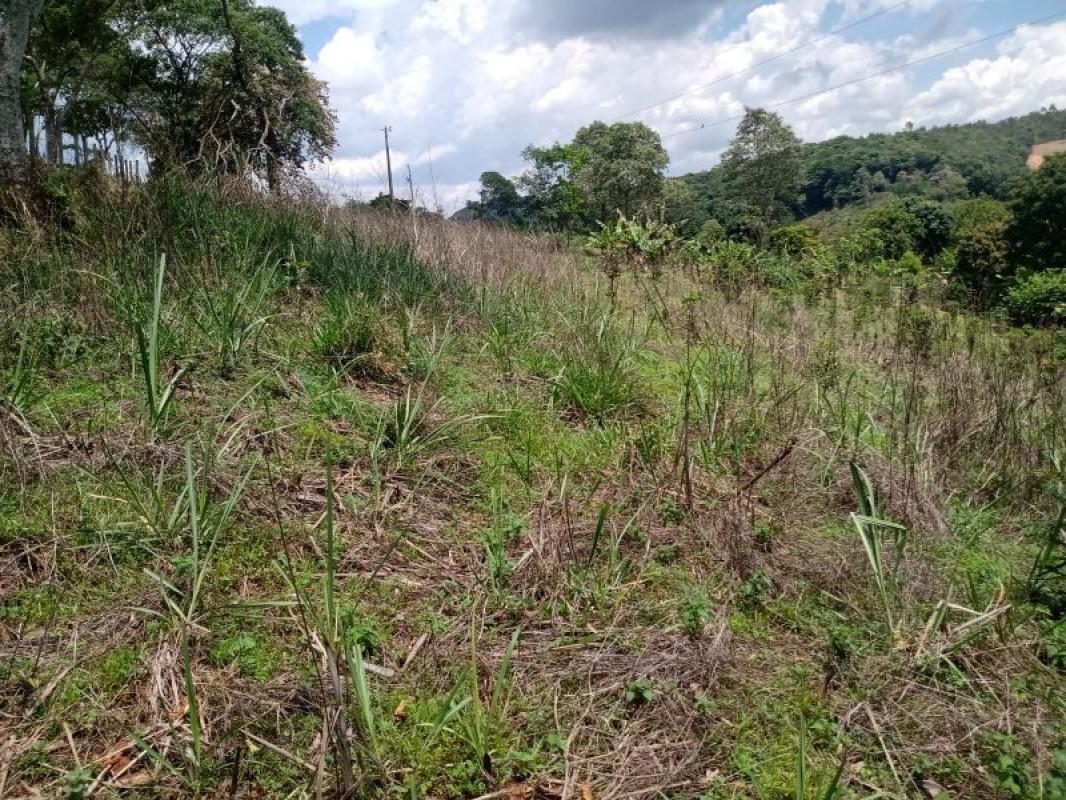 Fazenda, Centro, 0 Quarto, 0 Vaga