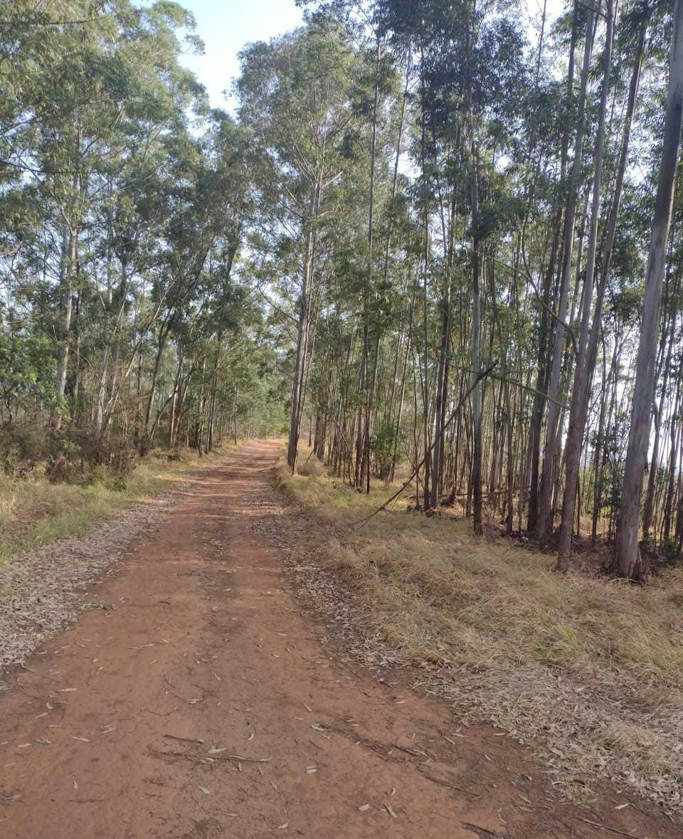Fazenda, Zona Rural, 1 Quarto, 0 Vaga