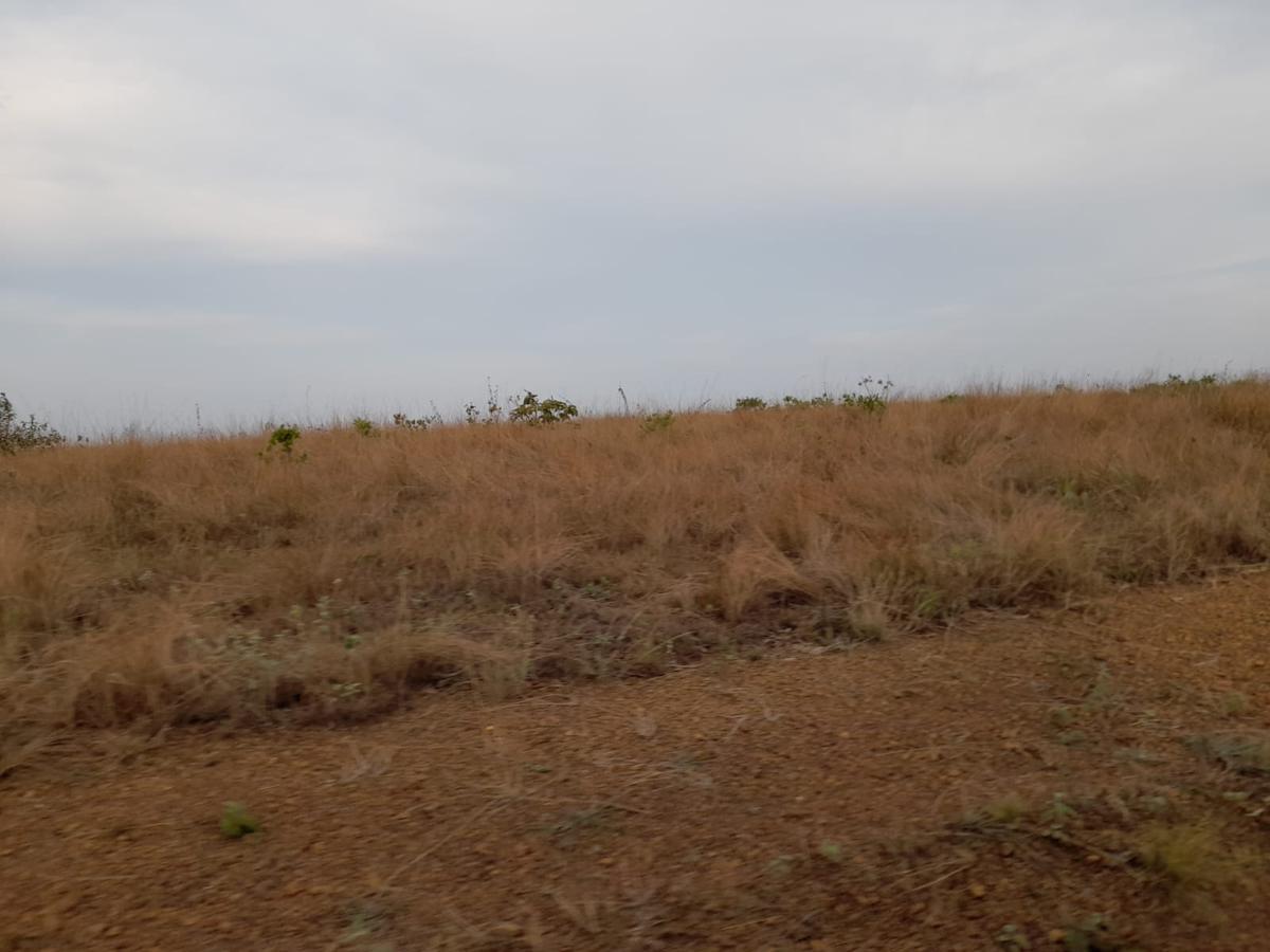 Fazenda, Zona Rural, 0 Quarto, 0 Vaga