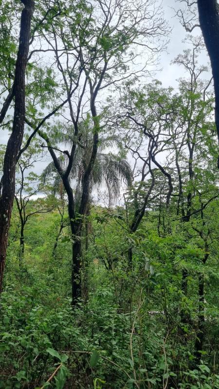 Fazenda, Centro, 0 Quarto, 0 Vaga