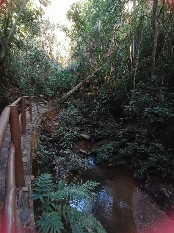 Lote, Honório Bicalho, 0 Quarto, 0 Vaga