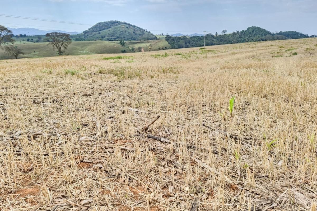 Fazenda, Zona Rural, 0 Quarto, 0 Vaga
