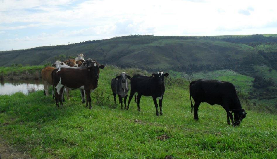 Fazenda, Zona Rural, 2 Quartos, 1 Vaga, 1 Suíte