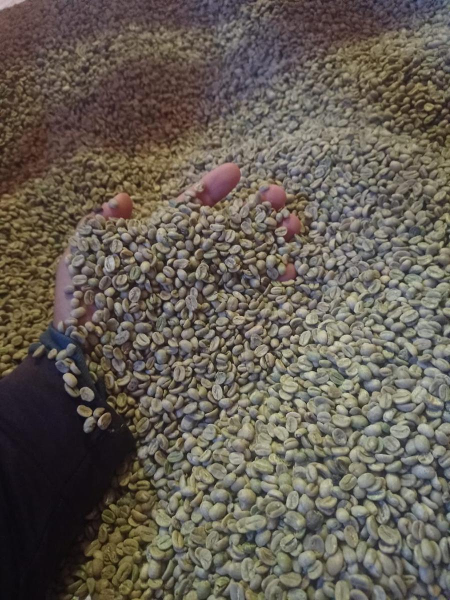 Fazenda, Zona Rural, 3 Quartos, 0 Vaga