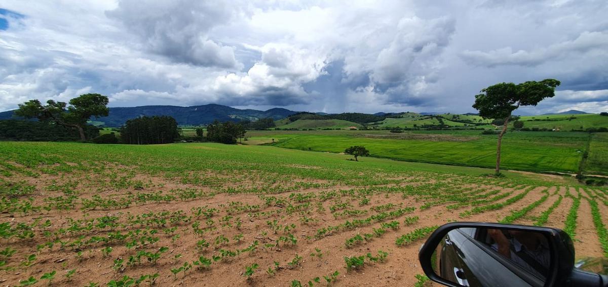 Fazenda, Centro, 1 Quarto, 1 Vaga, 1 Suíte