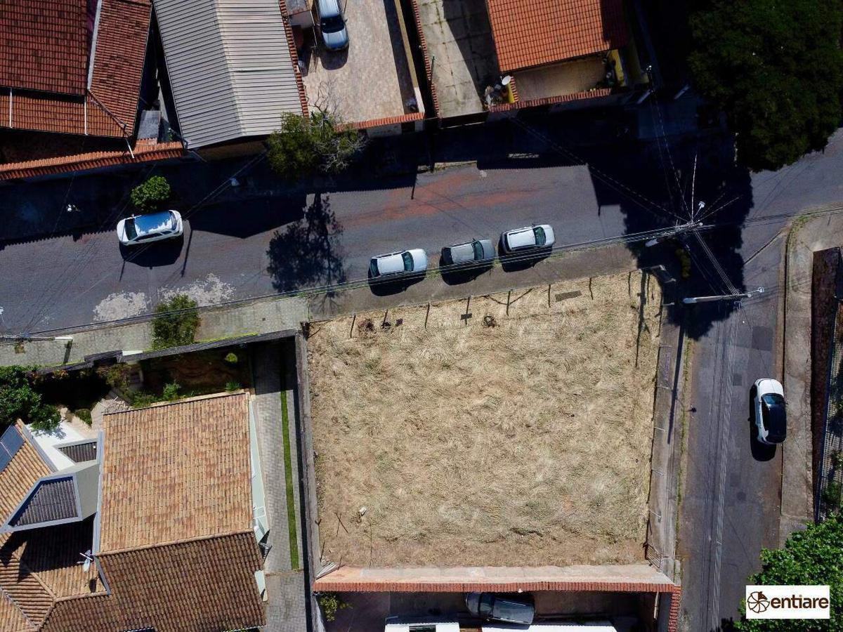 Lote, Palmeiras, 0 Quarto, 0 Vaga
