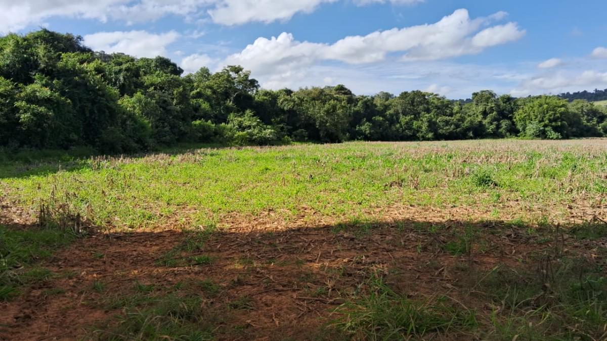 Fazenda, Centro, 0 Quarto, 0 Vaga
