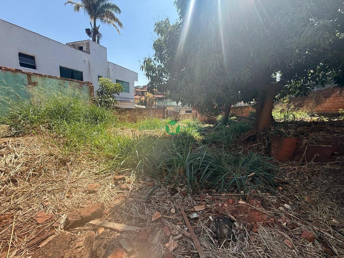 Lote, Universitário, 0 Quarto, 0 Vaga