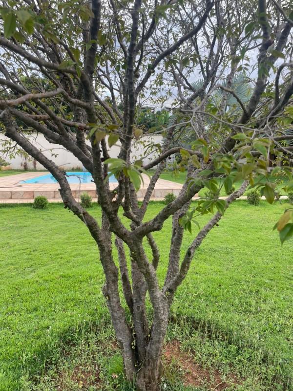 Fazenda, Bom Jardim, 4 Quartos, 10 Vagas, 1 Suíte