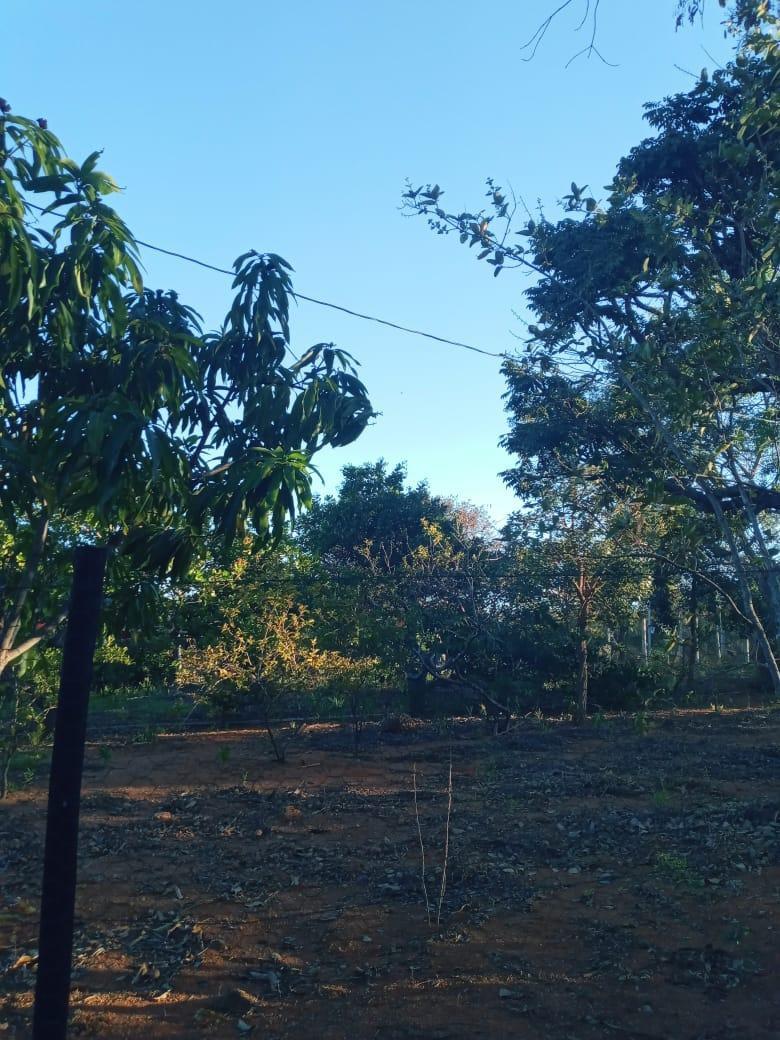 Lote, Zona Rural, 0 Quarto, 0 Vaga