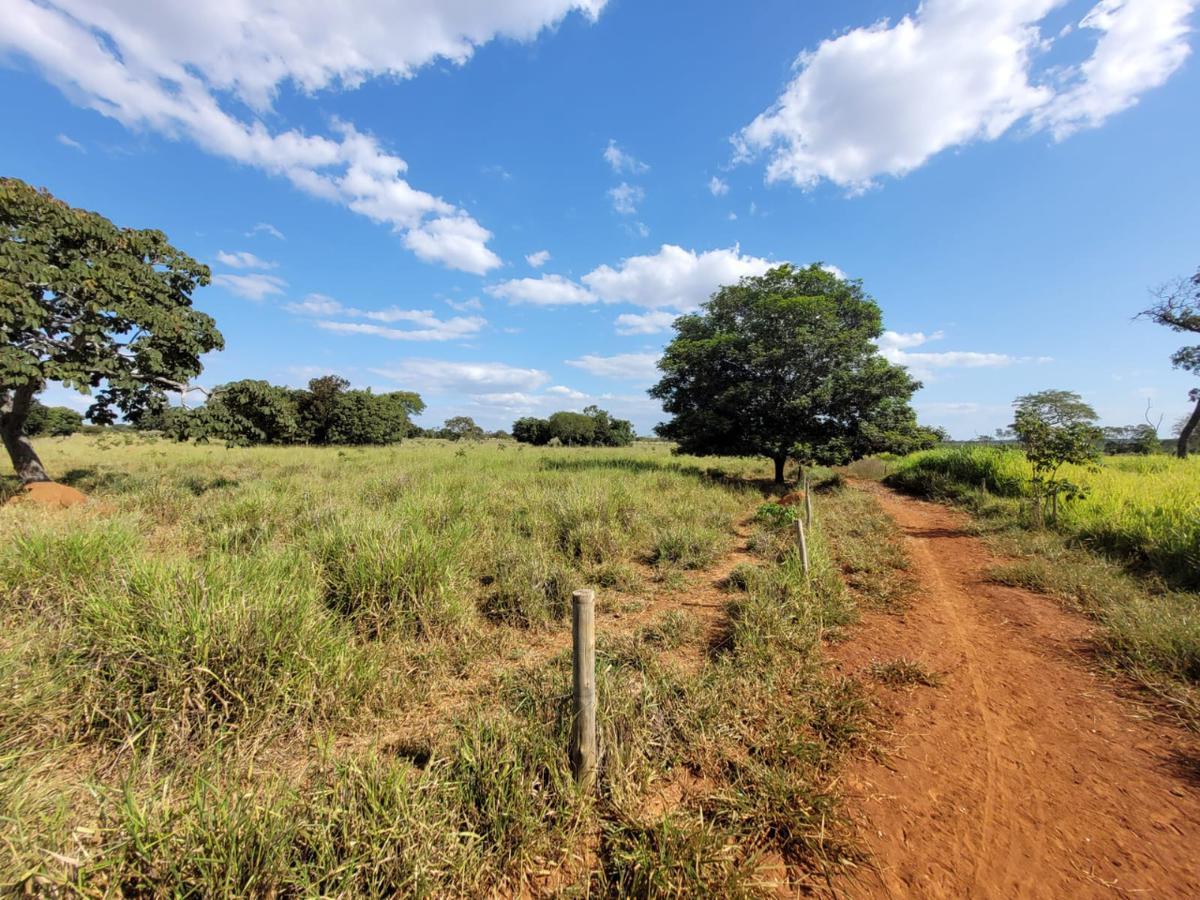 Fazenda, Centro, 0 Quarto, 0 Vaga, 1 Suíte