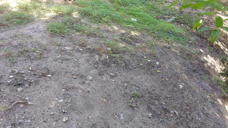 Lote, Alvorada, 0 Quarto, 0 Vaga
