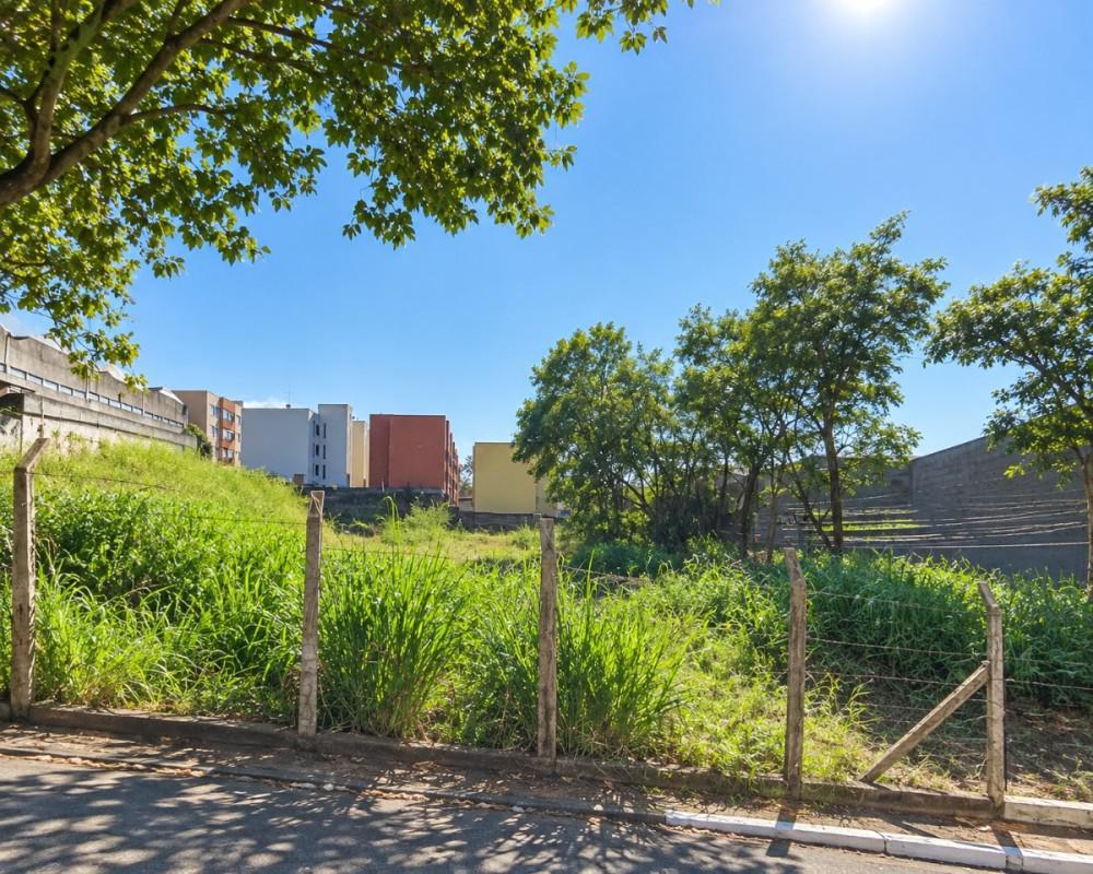 Lote, São Francisco, 0 Quarto, 0 Vaga