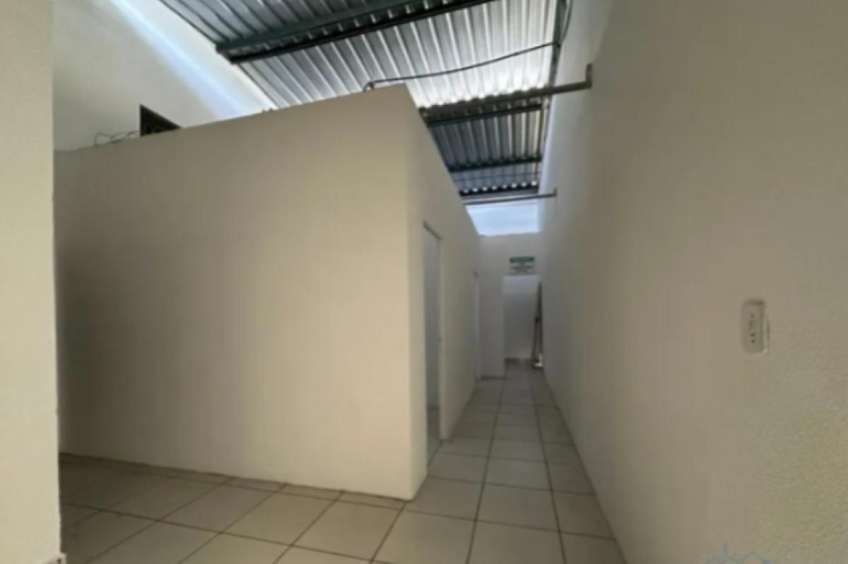 Galpão, Céu Azul, 2 Quartos, 4 Vagas, 1 Suíte