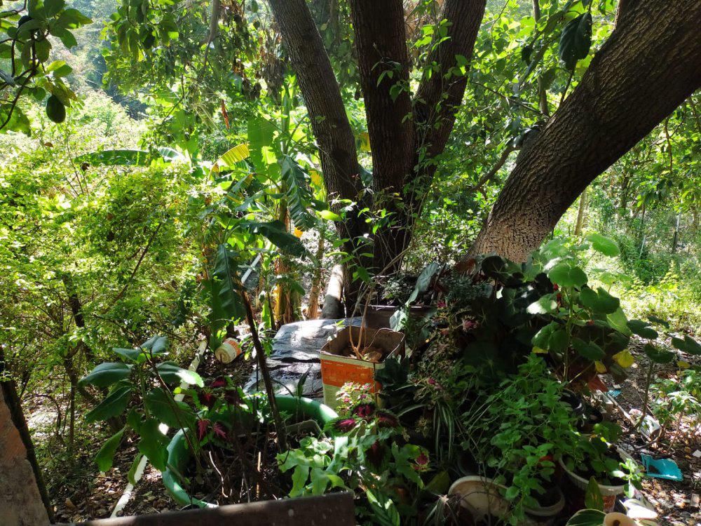 Casa, Palmeiras, 3 Quartos, 1 Vaga, 1 Suíte