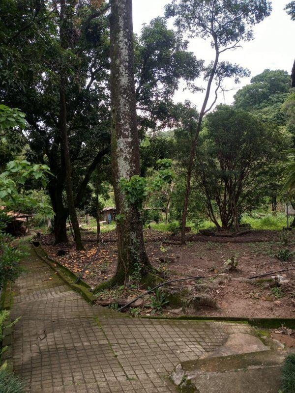 Fazenda, Jardim Rosario, 4 Quartos, 20 Vagas, 1 Suíte