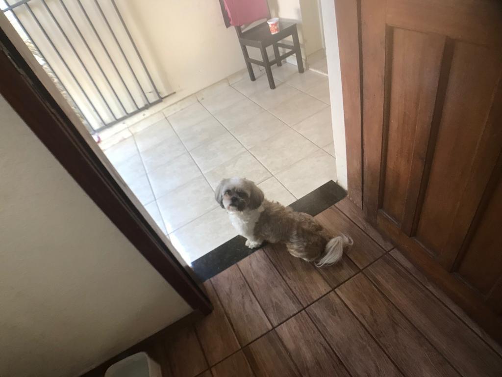 Casa, Centro, 5 Quartos, 2 Vagas