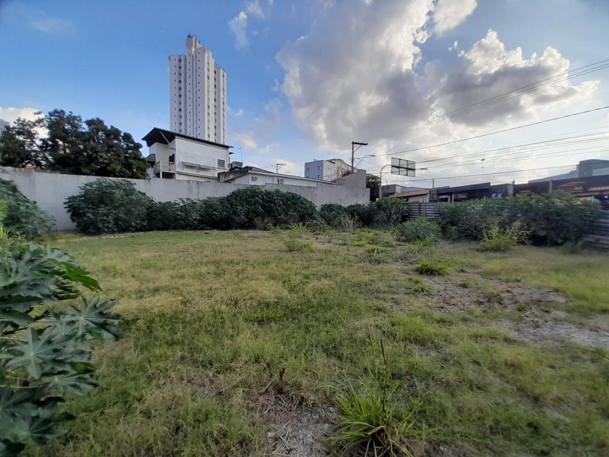 Lote, Floresta, 0 Quarto, 0 Vaga
