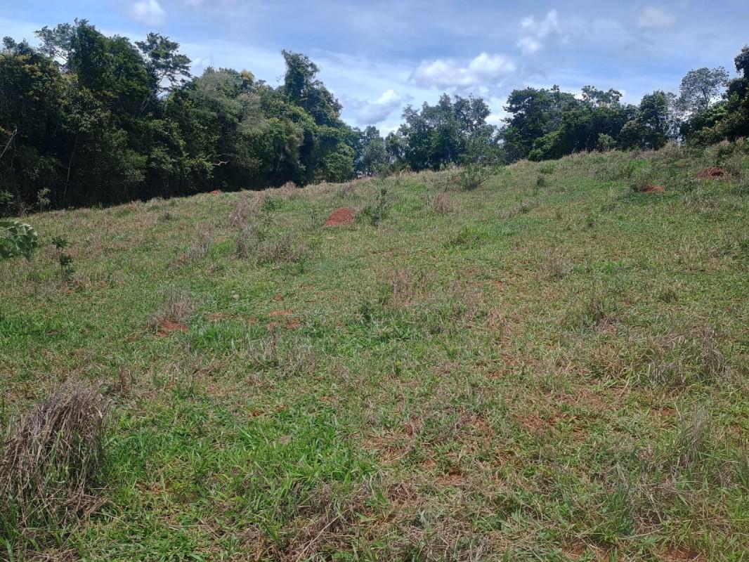 Fazenda, Centro, 0 Quarto, 0 Vaga