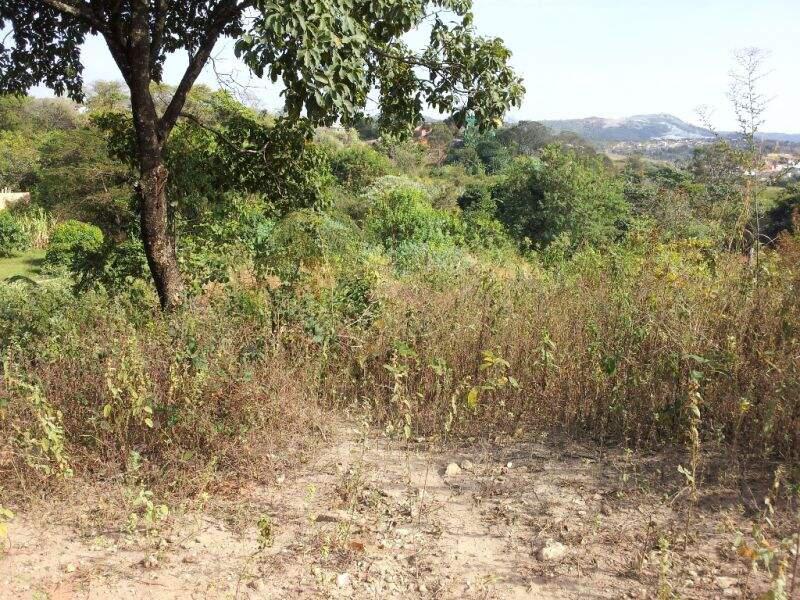 Lote, Tropical, 0 Quarto, 0 Vaga