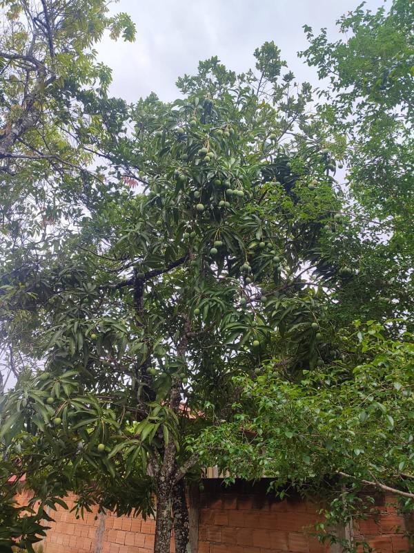 Fazenda, Centro, 2 Quartos, 15 Vagas