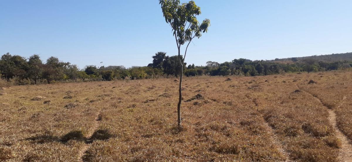 Lote, Centro, 3 Quartos, 0 Vaga
